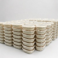 Boîte à lunch ovale jetable avec couvercle transparent, rectangulaire, 750 ml, récipient alimentaire à emporter, compatible micro-ondes et congélateur, anti-fuite, sans BPA