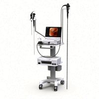 Système de gastroscope vétérinaire portable de haute qualité MK-W213, endoscope intégré, machine MKMED