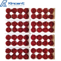 Oeillet préservé de grade A 4-5cm Matériel de bricolage floral Fleurs éternelles 8 pièces par boîte