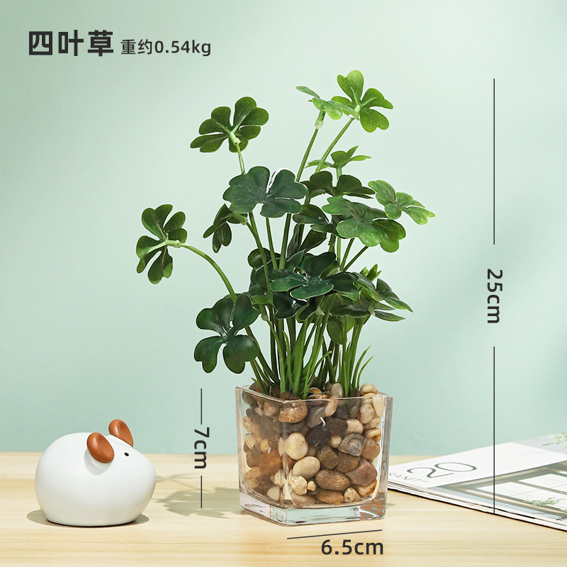 Plante trèfle