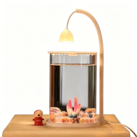 Mini aquarium transparent haut de gamme avec filtration intégrée et lampe LED chauffante pour petits poissons, idéal pour la chambre