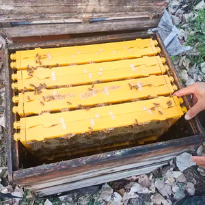 Suministros para Apicultura, Juego de Marcos y Casetes de Plástico para Miel de Abeja de 250 g, Caja para Fabricación de Panal de Miel, Apicultura - Product Image 6
