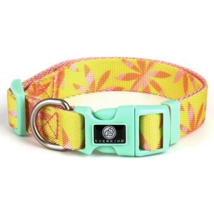 2024 Bestseller Hond Boos Oranje Pet Kraag China Huisdier Leverancier Custom Logo Hondenhalsband - Product Image 1
