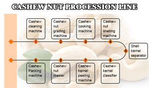 Fábrica de procesamiento de anacardos completa línea de procesamiento de anacardos automática - Product Image 4