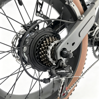 Vélo électrique 7 vitesses, freins à disque mécaniques, cadre en acier, 20 pouces, 48V, moteur arrière sans balais haute puissance 1000W, batterie lithium 18AH