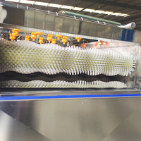 Industriële elektrische wolrolwasser, multifunctionele gember-, cassave-, taro- en aardappelschilmachine