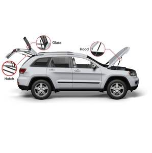 Vérin à gaz pour lève-vitre de voiture OEM, vérin pneumatique pour lève-vitre, vérin à gaz pour voiture - Product Image 1