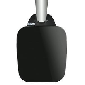 RS232 कनेक्ट कंप्यूटर इलेक्ट्रॉनिक ऊंचाई और वजन को मापने मशीनों मानव पैमाने के लिए ऊंचाई के साथ खड़े हो जाओ - Product Image 6