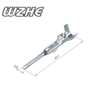 WZHE 282080-1 AMP prise électrique de voiture connecteur automobile étanche 2 broches mâle femelle connecteur automatique