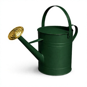 Galvanized Heavy Duty Iron Watering Can for Outdoor Garden <b>Plant</b> Use 2 gallon Water can Farmhouse Style Decorative Watering Can - Product Image 2