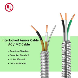 600V UL AC/MC kablo 12/2 yapı kablosu 14/2 10/2 bakır iletkenler AIA PVC/naylon yalıtım Metal kaplı kilitli zırh kablosu - Product Image 1