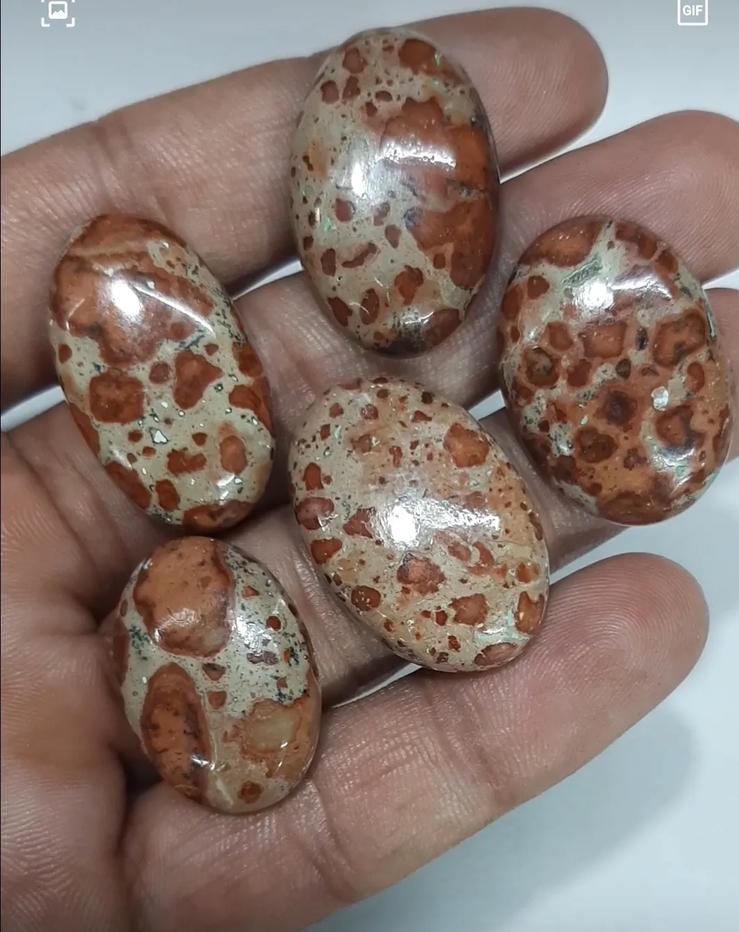 Top Grade Asteroid Jasper Oval Shaped Gems Smooth Loose Cabochon Gem For Fashion Jewelry Natural Gemstone in Size of 14x16mm