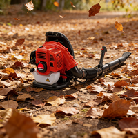 Souffleur à feuilles professionnel de 51,7 cm³, de qualité industrielle, à essence, OEM, de haute qualité