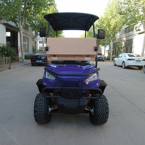 Pneue coche de baja velocidad de disco eléctrico buggy carrito de golf - Product Image 1