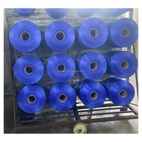 Premium FDY PP Yarn 300d-1250d Colorful PP Filament Yarn for Weaving & Sewing