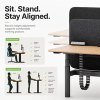 Tables de bureau modernes en MDF à hauteur réglable électriquement, avec mémoire intelligente, postes de travail mobiles pour bureaux et immeubles de bureaux