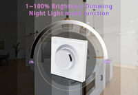 Triac giratorio inalámbrico RF Dimmer AC100V 240V interruptor de pared delgada para bombillas halógenas regulables lámparas de filamento controlador Led