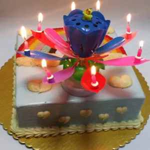 Popular Lotus Multi-colorful Flower Bloom Musical Candles Birthday Candles Lotus Cake Flower Birthday Music Candle Price