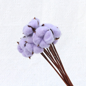 Wholesale DIY Dry <strong>Cotton</strong> Plant Bouquet Preserved <strong>Cotton</strong> Branches Natural Dried <strong>Cotton</strong> Flowers <strong>Stems</strong> - Product Image 4