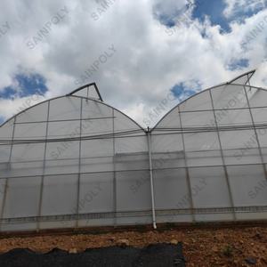 مصنع مخصص فيلم الدفيئة إطار معدني فيلم الدفيئة لزراعة الطماطم الدفيئة - Product Image 3