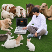 Valid CE SONOIMAGE Veterinary N20 Doppler Ultrasound Class II Medical Instrument Ensures Precise Diagnostic Imaging on Farms