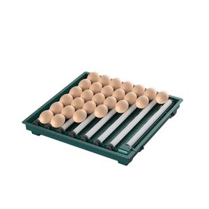 Nouvelle <span class=keywords><strong>couveuse</strong></span> <span class=keywords><strong>automatique</strong></span> pour œufs de poulet en PP verte de 130 pièces pour une utilisation à la ferme et à la maison - Product Image 6