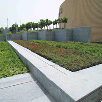 Planche de drainage 30 mm, plateaux de toiture verte, cellules de drainage en plastique de l'usine BPM