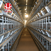Système de cages automatiques en acier de type H pour l'élevage de poulets pondeurs – Équipement avicole pour économiser le travail et améliorer la production d'œufs