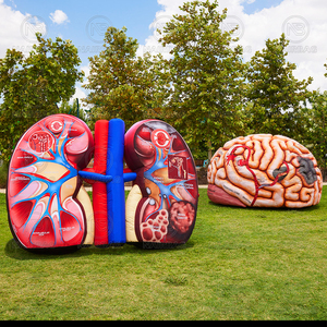 Côlon gonflable, cerveau gonflable, coeur gonflable, poumons gonflables, reins gonflables, foie gonflable, seins gonflables - Product Image 5