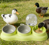 Bol pour chien et chat pliable et portable 2 en 1 avec abreuvoir automatique anti-choc en PP