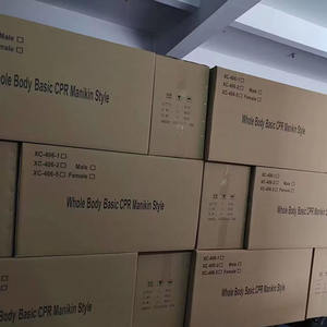 Modèle anatomique de fesse en PVC portable pour <span class=keywords><strong>injection</strong></span> <span class=keywords><strong>intramusculaire</strong></span> fessière pour la formation d'infirmière et les sciences médicales dans les écoles - Product Image 4