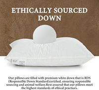 Reine taille plume d'oie hôtel Collection lit oreillers luxe 100% coton tissu doux côté dos oreiller de couchage pour les dormeurs