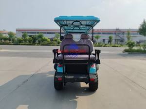 Factory Direct used Electric Golf Cart 48V Battery <b>2</b>/4/6/8 <b>Passenger</b> Utility Vehicle for Sale - Product Image 3