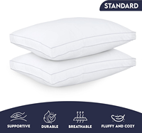 Oreiller de cou rectangulaire moderne en coton 100% uni, avec design à soufflets et bordure à double couture, pour hôtels de taille moyenne, OEM&ODM, vente en gros