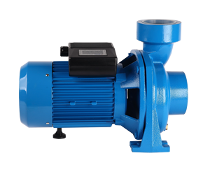 2 Inch <strong>2HP</strong> Cast Iron Centrifugal <strong>Pump</strong> High Flow Pressure <strong>Pump</strong> for Irrigation and Agriculture Use - Product Image 5