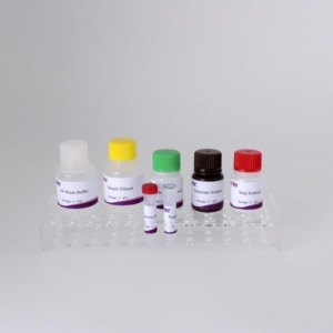 Kit de prueba de anticuerpos cELISA Babesia original para diagnóstico veterinario (96T/Kit) con alta sensibilidad - Product Image 4