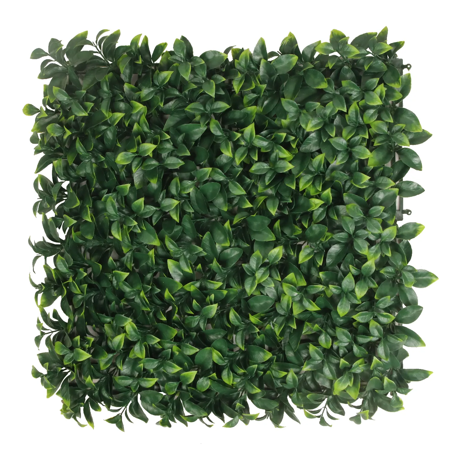 壁の装飾のための50*50 cm卸売緑人工プラスチック草ツゲの木植物パネルの生垣