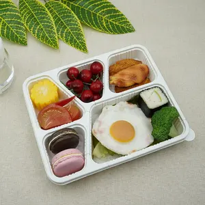 Wegwerp Meeneem Fast Food Verpakking Nemen Away Lunch Verpakking Dozen Voedsel Containers 5 Compartiment Plastic