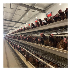 Poultry Farm Animal Cages Chicken Hens Breeding Laying Cage Equipment Egg Layer Automatic For Sales Battery Layer Chicken Cage