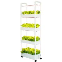 Système hydroponique vertical automatique à 4 niveaux pour la culture à domicile et en jardin, jardinière intelligente avec minuterie, lumières, boule de Lecca, testeur de nutriments