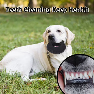 <span class=keywords><strong>AFP</strong></span> özel dinozor köpek çiğnemek oyuncak-agresif Chewers ve diş sağlığı için TPR lastik top ile Bite dayanıklı peluş - Product Image 6
