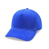 Gorras Personalizadas al por Mayor OEM/ODM, Gorra de Béisbol con Logotipo Bordado, Gorra Trucker de 5 Paneles, Gorra Snapback de Pana Bicolor Unisex