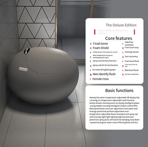 Inodoro Inteligente de Cerámica Gris con Marca de Agua de Alta Calidad, con Control Remoto y Asiento con Calefacción RT19, Inodoro Inteligente RT19 RT19 RT19 Sma - Product Image 3