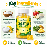 Permen Creatine Label Pribadi Dewasa 0 Gula 5000mg Vegan Pektin Rendah Karbohidrat Bebas Kedelai Bebas GMO Bersertifikat HACCP untuk Otot