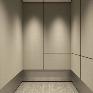 Ascensor Panorámico Comercial con Accionamiento de Tornillo para Uso en Oficinas y Residencias, para Hoteles, Villas y Aplicaciones al Aire Libre - Product Image 6