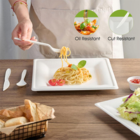 Assiette jetable en bagasse de canne à sucre biodégradable carrée blanche pour la restauration et les mariages (vente en gros)