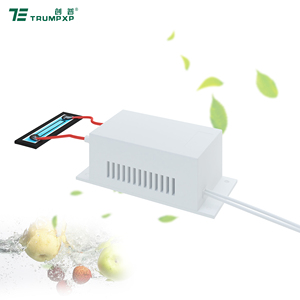 Tùy chỉnh máy phát điện Ozone Máy lọc không khí 300mg/hr Mini Y Tế Máy phát điện Ozone - Product Image 1