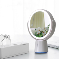 Nouveau miroir de courtoisie éclairé double face rond miroir de maquillage LED de bureau rechargeable pour chambre à coucher