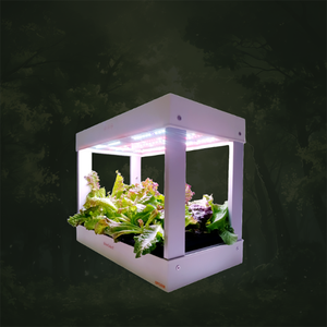 New Màu Xanh Lá <span class=keywords><strong>C</strong></span>ây Cube-Hydroponics/Sâu Hydroponics Home Ban <span class=keywords><strong>C</strong></span>ông Trồng Stackable Chiếu Sáng Tự Động Trồng Hệ Thống - Product Image 6