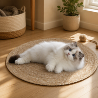 Tapis à gratter pour chat en herbe tressée, lit pour chat, tapis à gratter, fournitures pour animaux de compagnie
